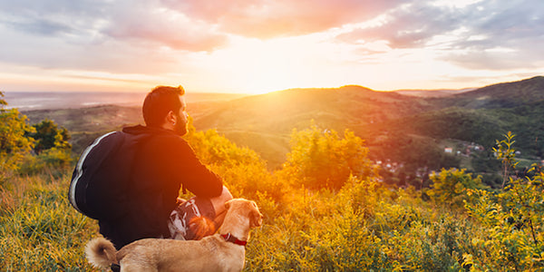 No More Narcotics? Health Benefits of CBD